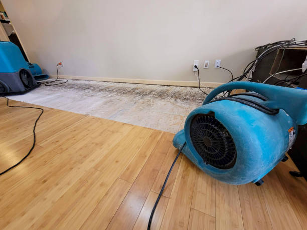 Professional Structural Drying technician working in Stacy, NC